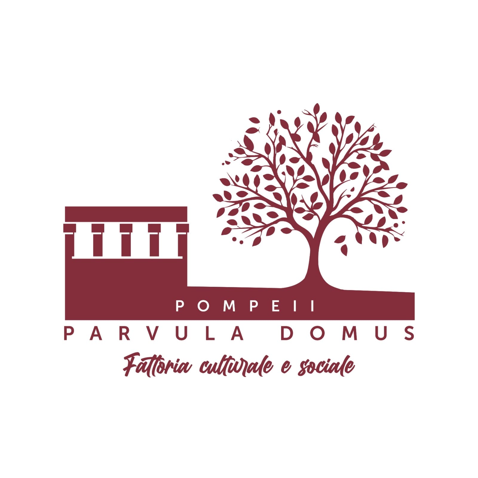 Cooperativa Sociale Il Tulipano